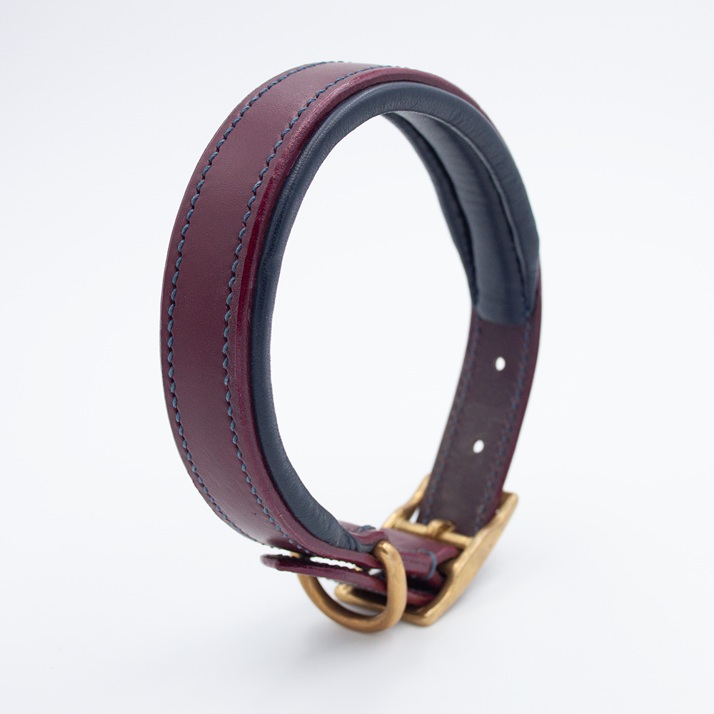 Padded Dog Collar