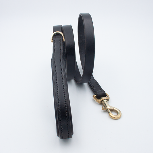 Padded Dog Lead