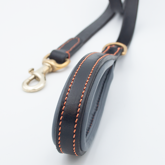 Padded Dog Lead